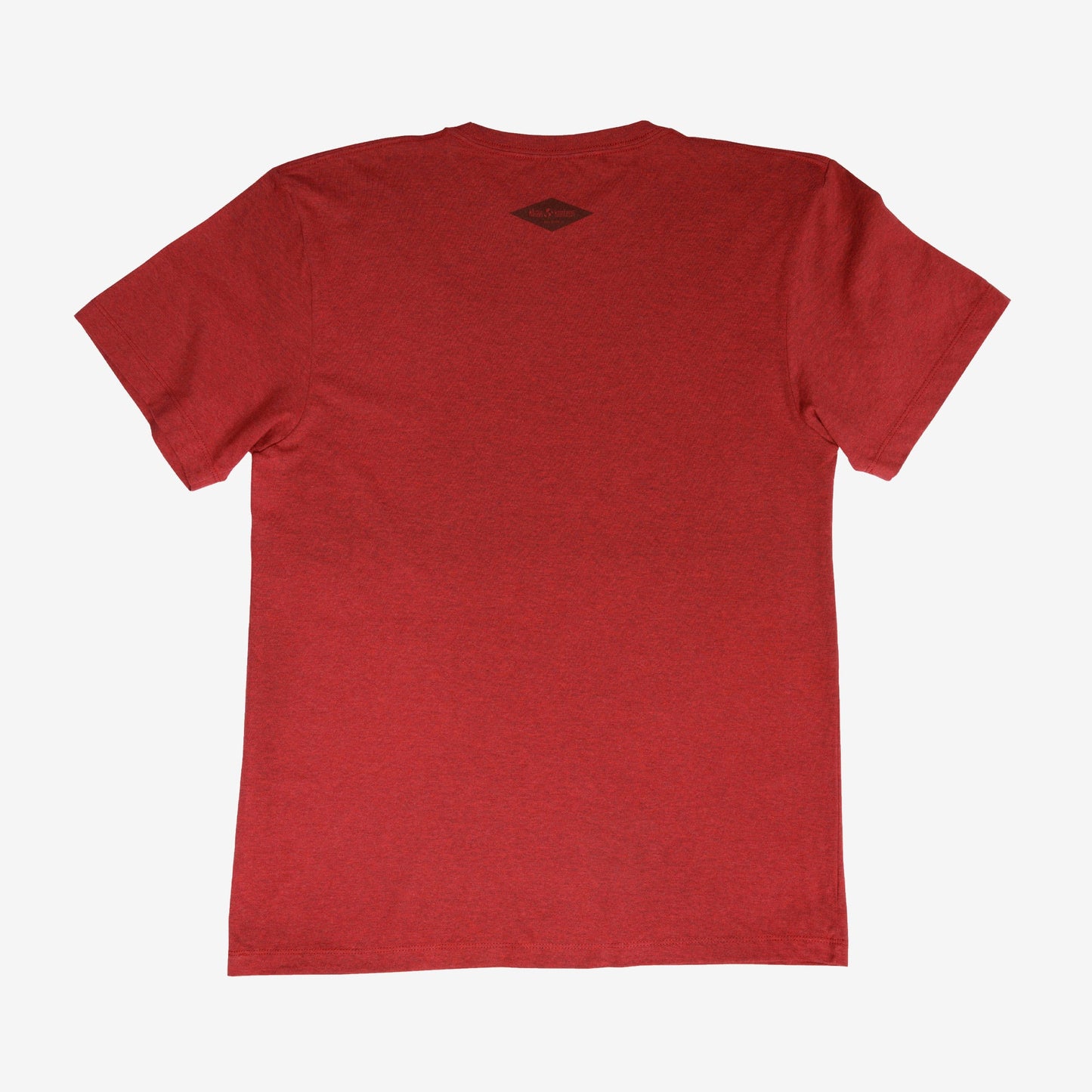 backyard-t-shirt-y6 Shirt_Mtn_Back.jpg