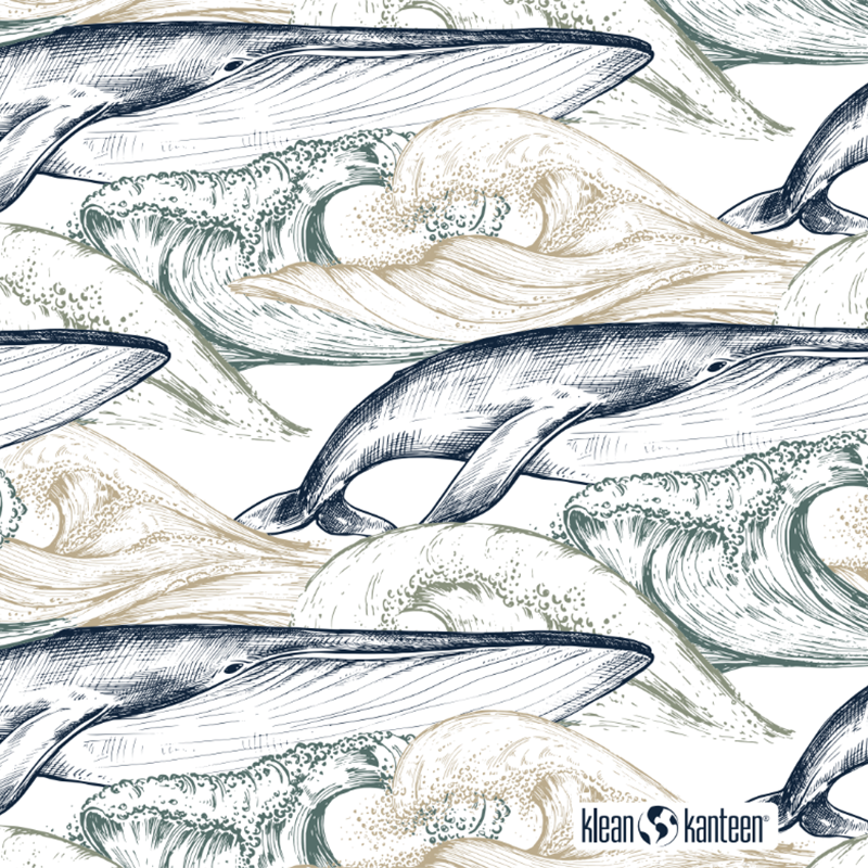 20oz-tkwide-with-twist-cap-ocean-day-o6 20oz_tkwide_bottle_seasonal_ocean_day_whale_artwork_square.png