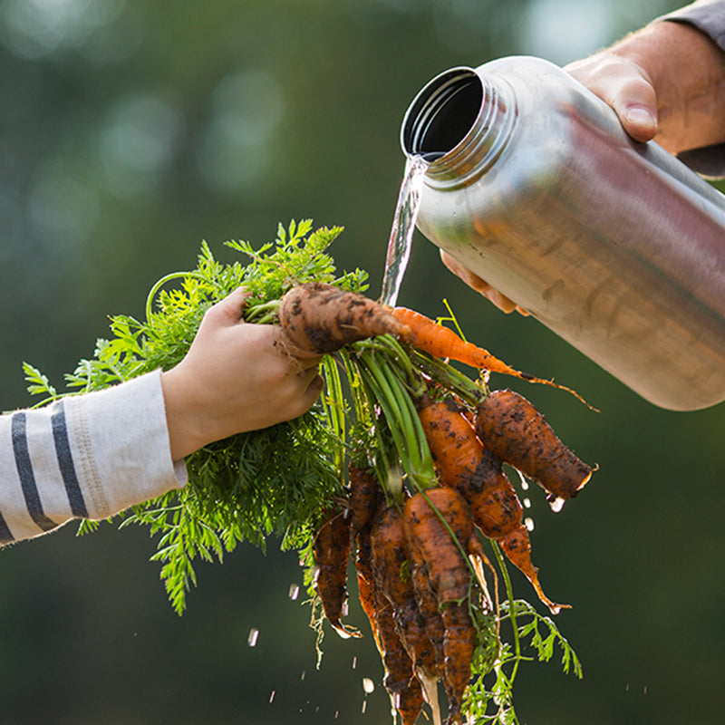 64oz-wide-with-loop-cap-n0 64oz_wide_mouth_bottle_carrots_rinse_square.jpg